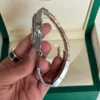 Explorer 2 Rolex polar